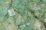 Green Fluorescent Cubic Fluorite Crystals - Madagascar #361320-1